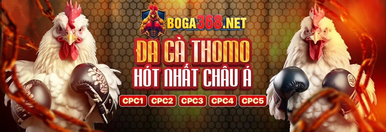 Banner khuyến mãi ev88vn nhà cái